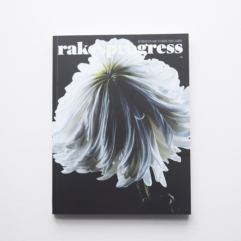 The Rake Magazine Subscription - Paper Magazines