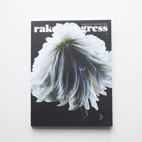 Rakesprogress is one of the most creative, innovative and beautiful gardening magazines in the UK. Issue 6 is now available from Lewes Map Store. Rakesprogress, the progressive guide to gardens, plants, flowers and people.