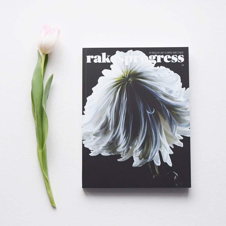 Rakesprogress is one of the most creative, innovative and beautiful gardening magazines in the UK. Issue 6 is now available from Lewes Map Store. Rakesprogress, the progressive guide to gardens, plants, flowers and people.