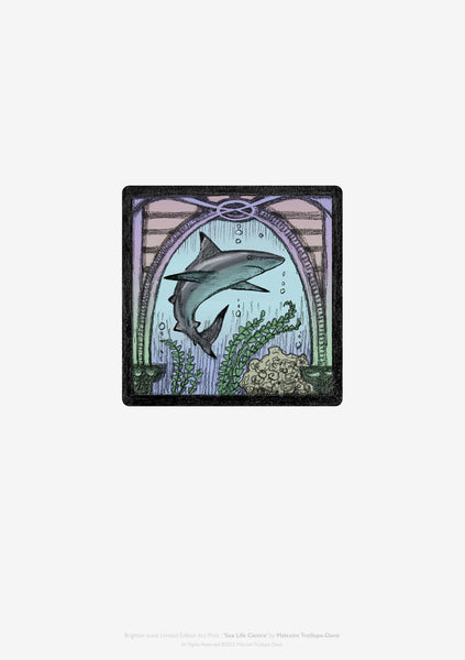 A3 Sea Life Centre limited edition fine art print by Malcolm Trollope-Davis