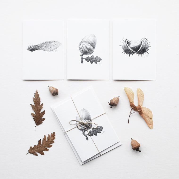 This set of botanical inspired greeting cards features three of the original pencil drawings from the 'Technature' range; 'Acorn', 'Sycamore Seed' and 'Horse Chestnut' by Malcolm Trollope Davis.