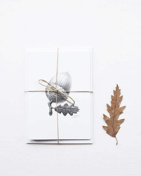 This set of botanical inspired greeting cards features three of the original pencil drawings from the 'Technature' range; 'Acorn', 'Sycamore Seed' and 'Horse Chestnut' by Malcolm Trollope Davis.