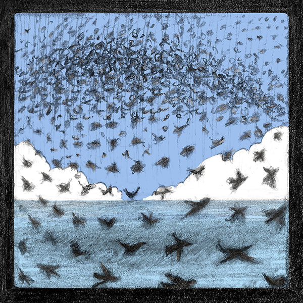 Close-up of Malcolm Trollope-Davis's hand-drawn Starling Murmurations illustration