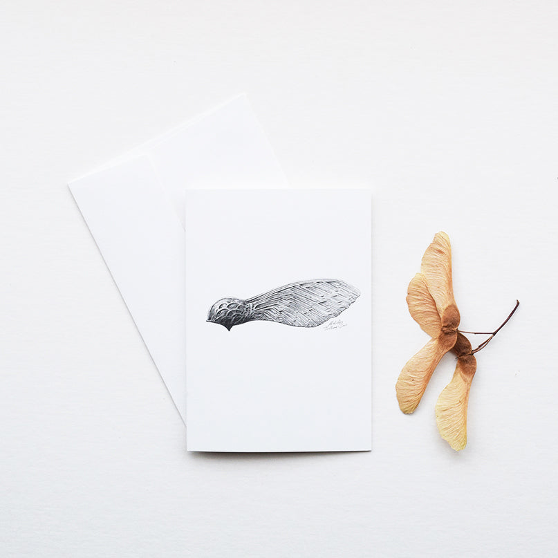 'Sycamore Seed' greeting card, designed and printed in the UK, features one of the botanical pencil drawings from the 'Technature' range by Malcolm Trollope Davis.