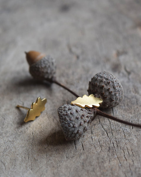 Beautiful gold vermeil oak leaf stud earrings, designed and handcrafted in a studio in Lewes by Phoebe Jewellery.